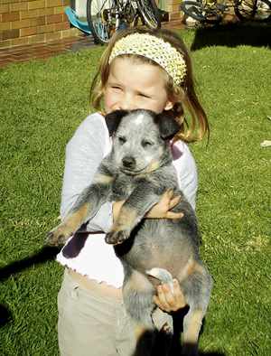 Pup #1 Bella with her new person Josie.