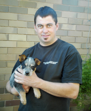 Pup #5 - Zorro with his new person Matt - "I'll bring this bloke into line pretty quick," says Zorro.